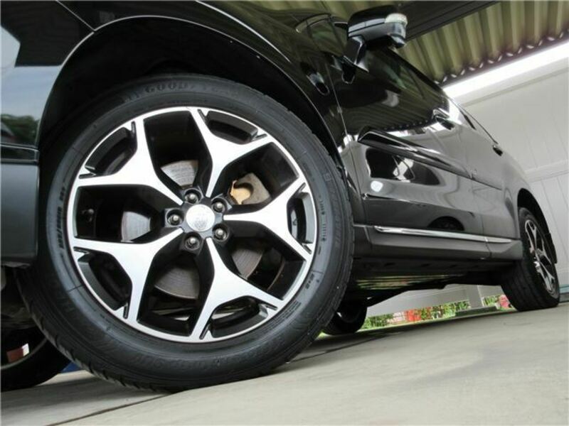 FORESTER-5