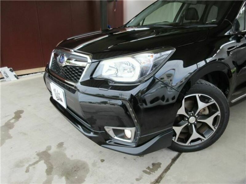 FORESTER-6