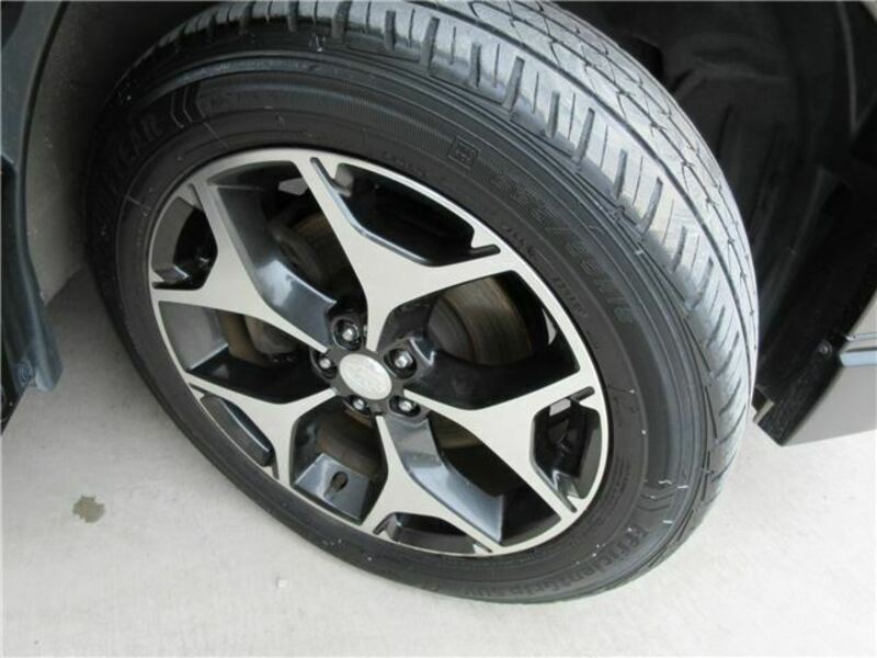 FORESTER-17