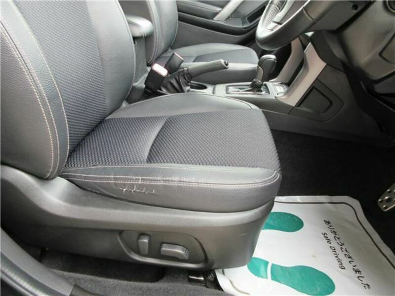 FORESTER-22