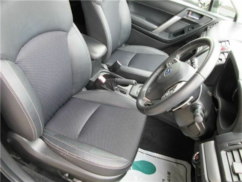 FORESTER-23