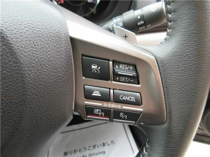 FORESTER-28