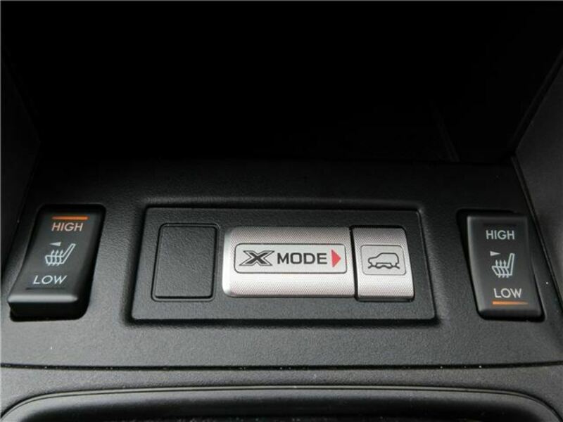FORESTER-30