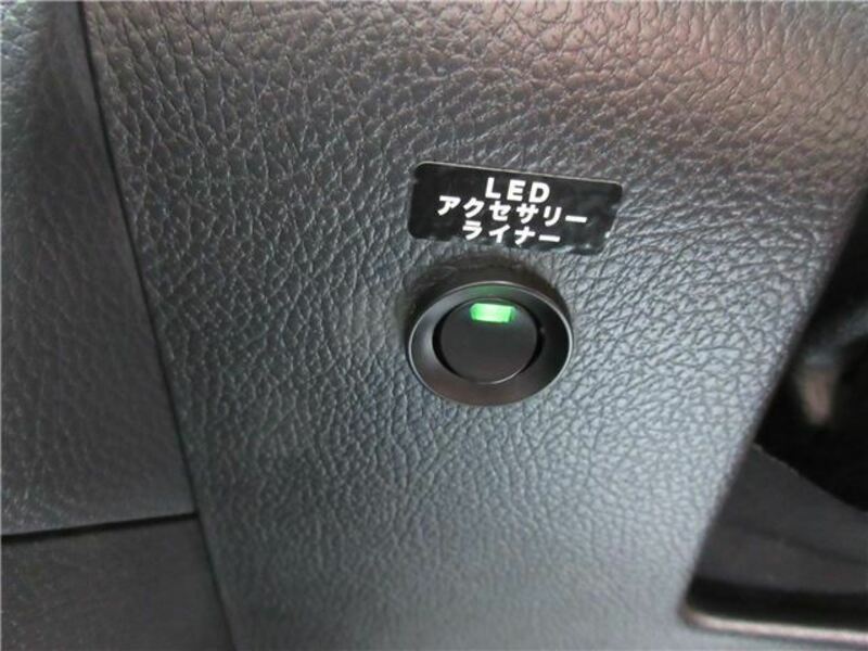 FORESTER-34