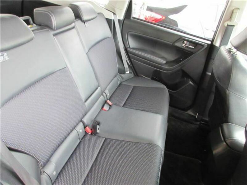 FORESTER-41