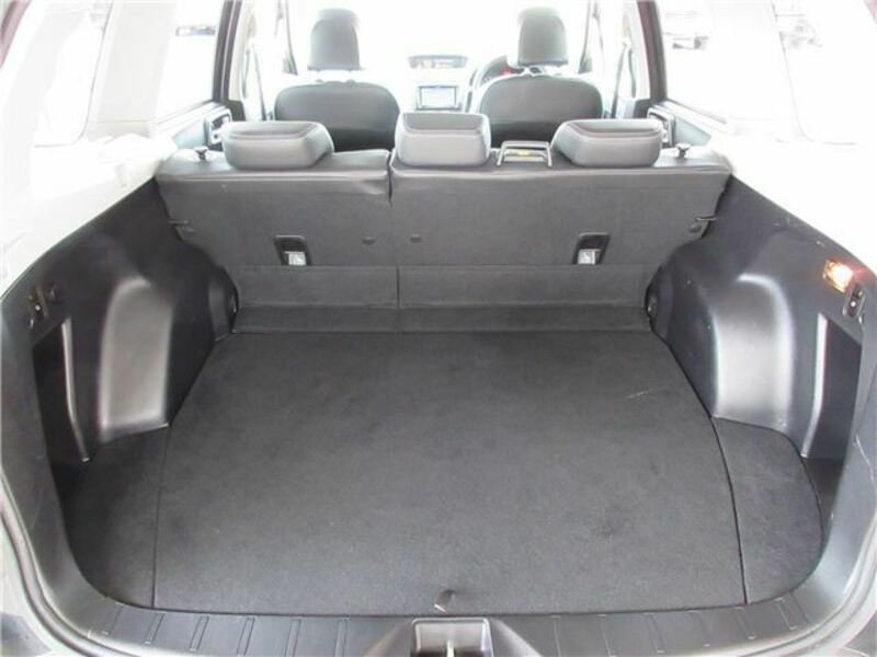FORESTER-42