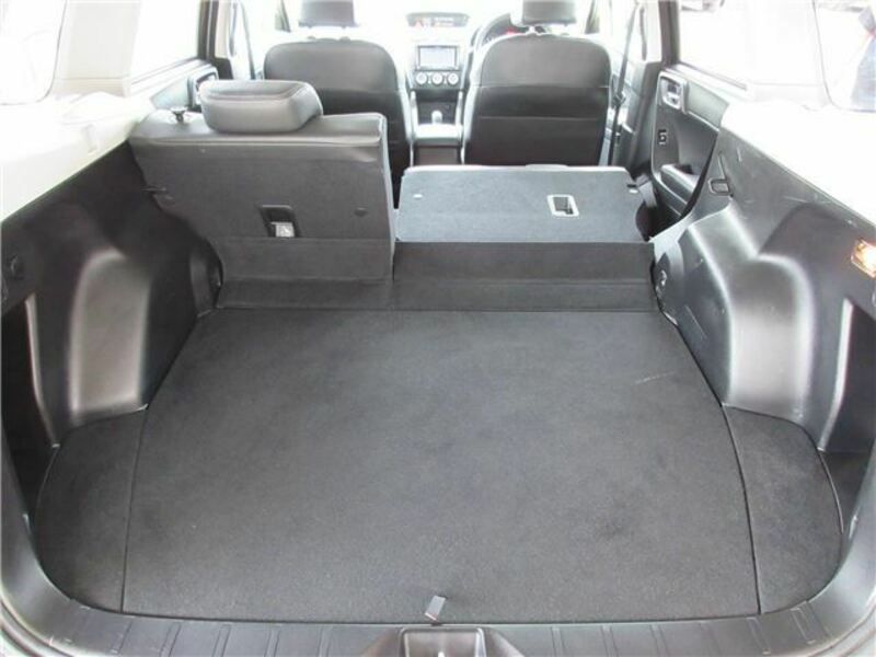 FORESTER-43