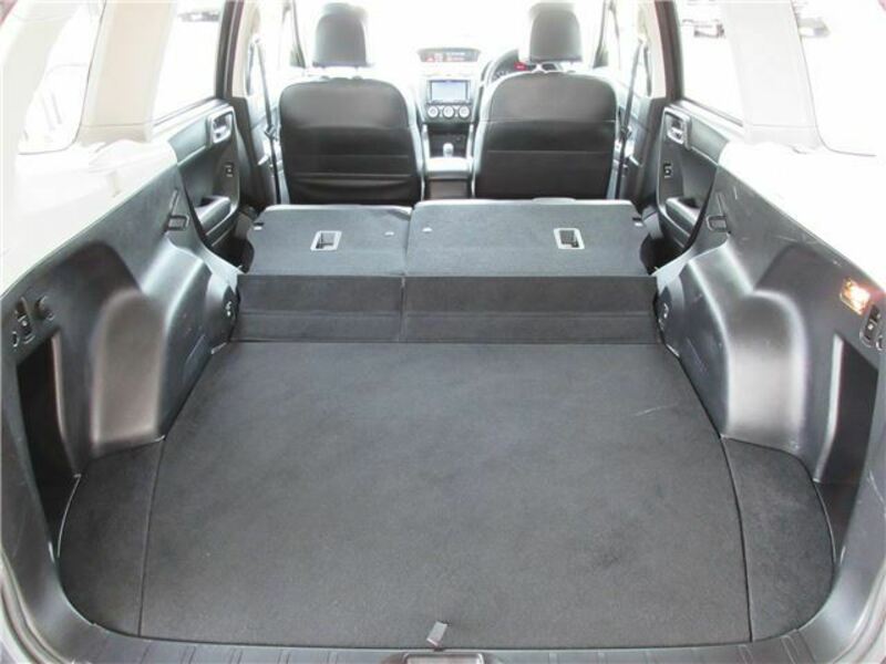 FORESTER-44