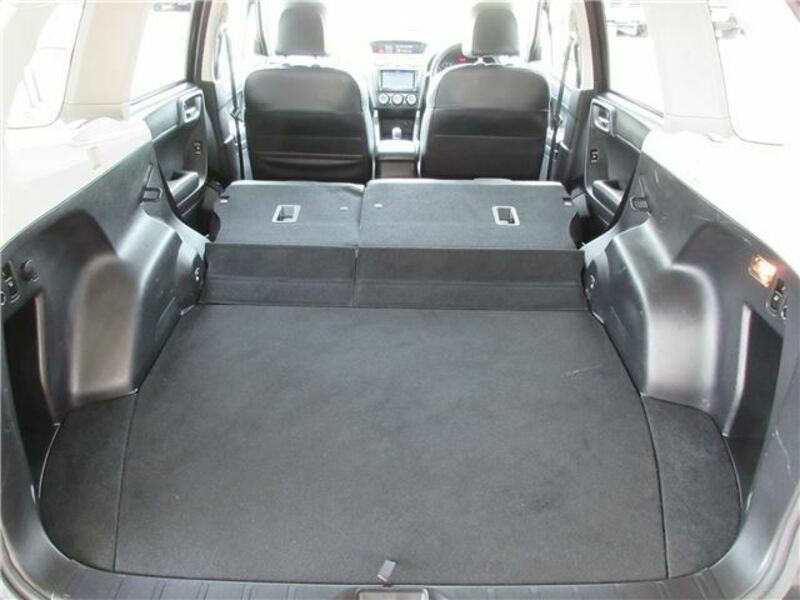 FORESTER-45