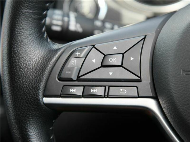 X-TRAIL-14