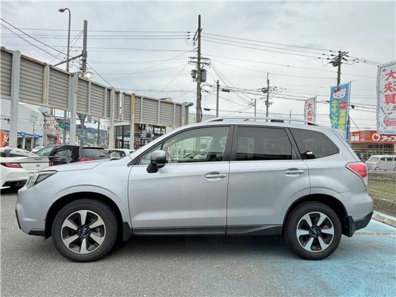 FORESTER