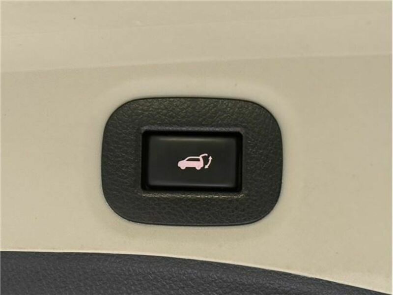 X-TRAIL-12