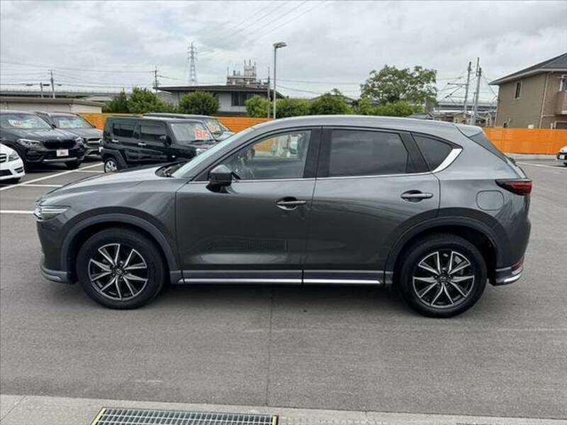 CX-5-10