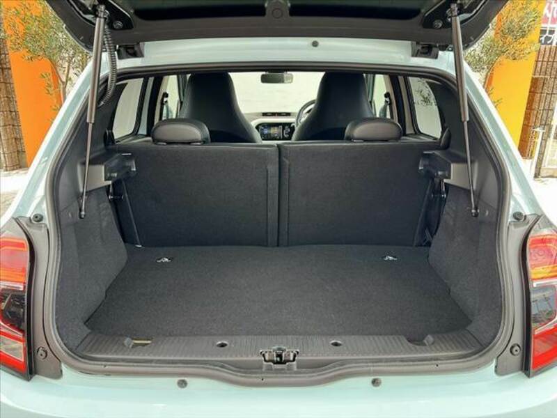 TWINGO-19