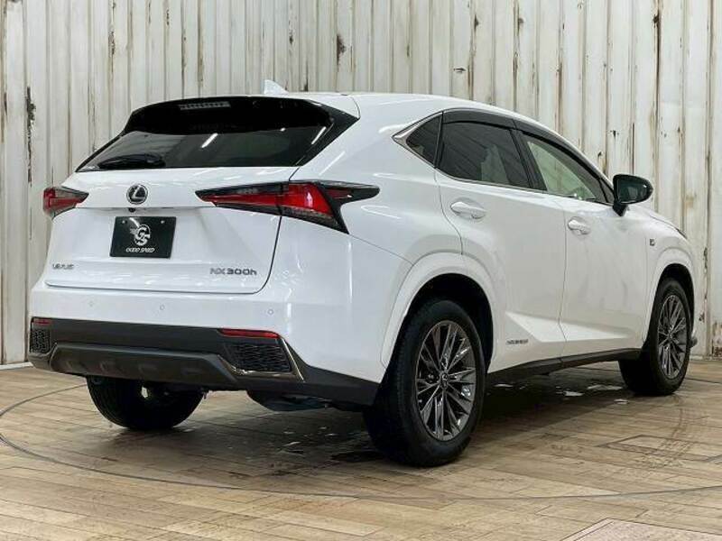NX
