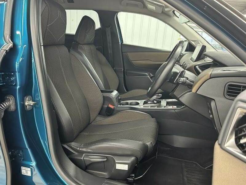 DS3