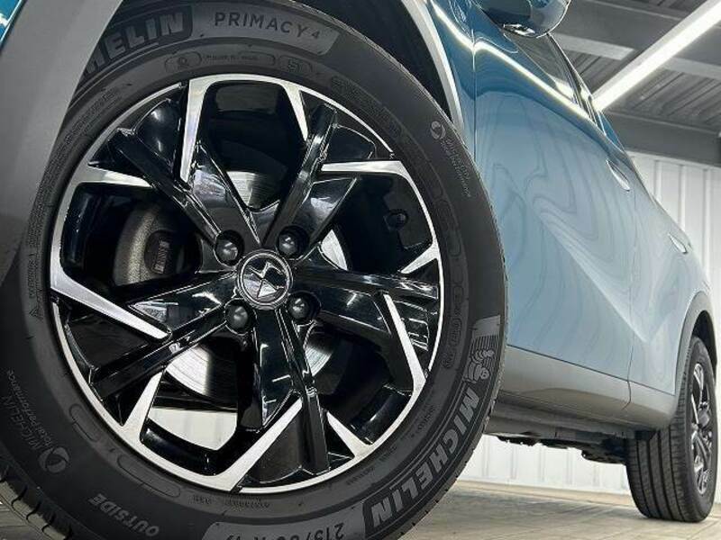 DS3