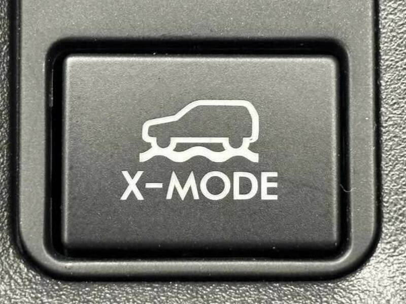 XV