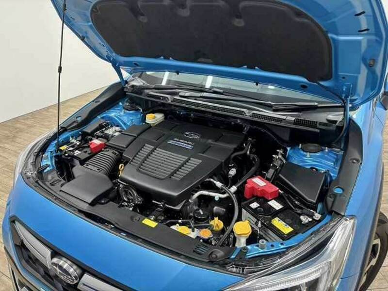 XV