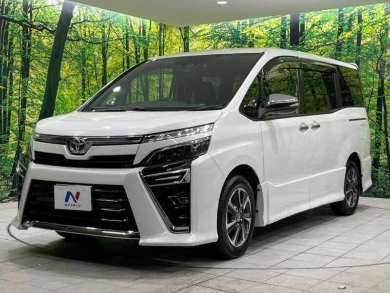 VOXY-17