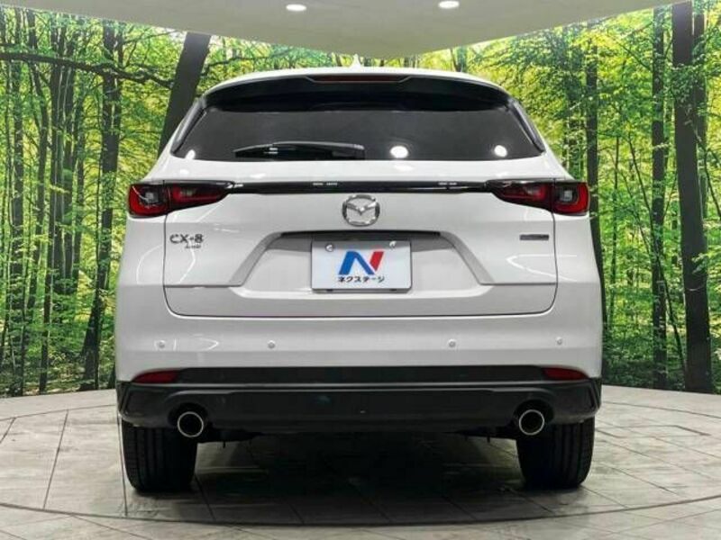 CX-8