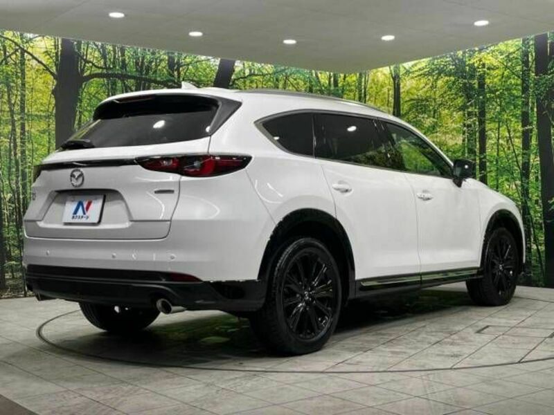 CX-8