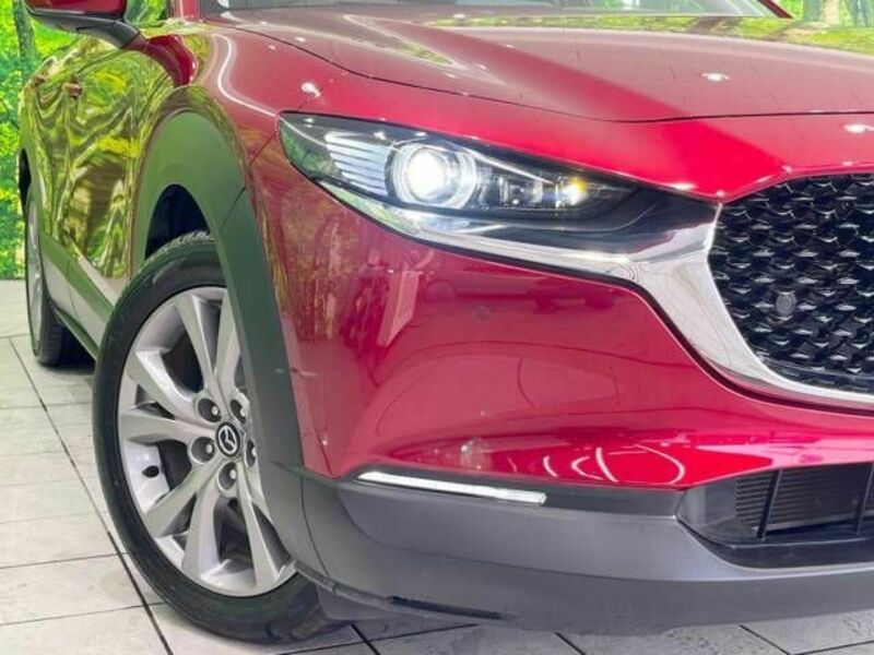 CX-30