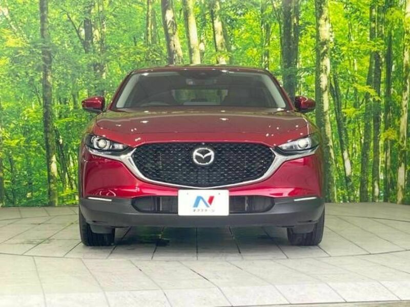 CX-30
