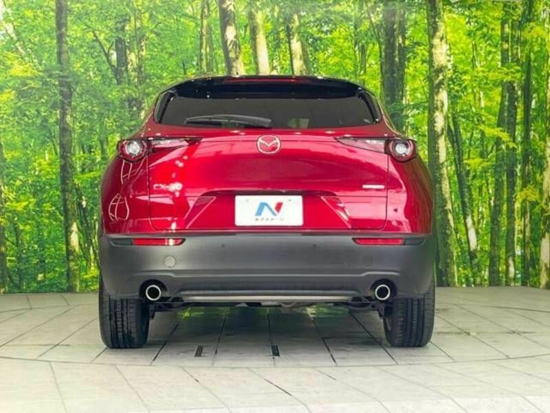 CX-30