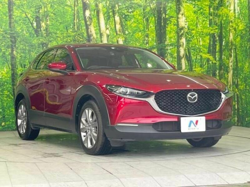 CX-30