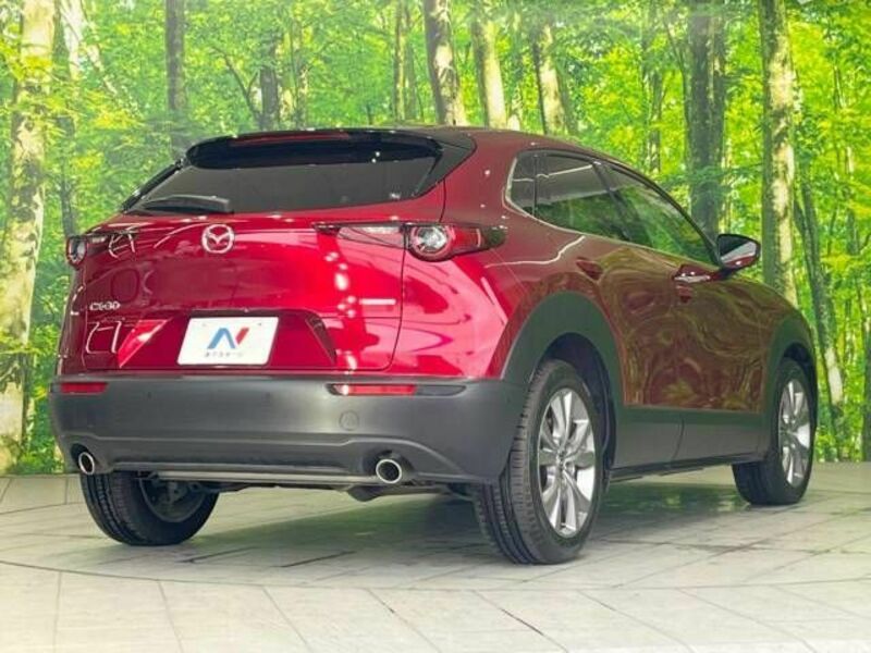 CX-30