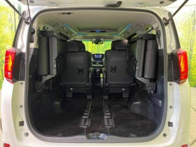 ALPHARD-10