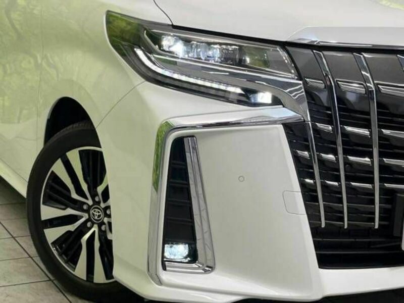 ALPHARD-12