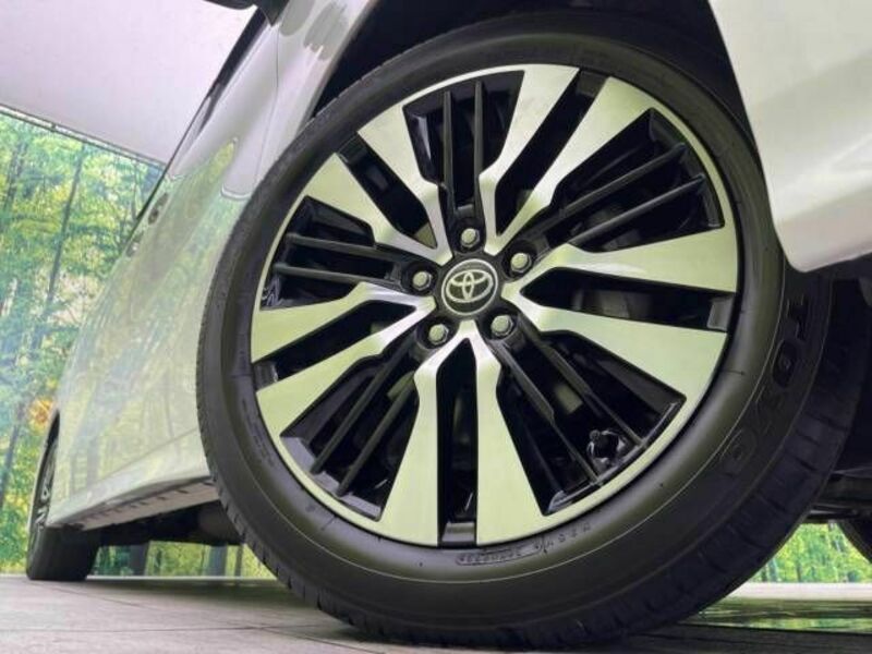 ALPHARD-13