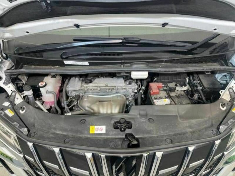 ALPHARD-17