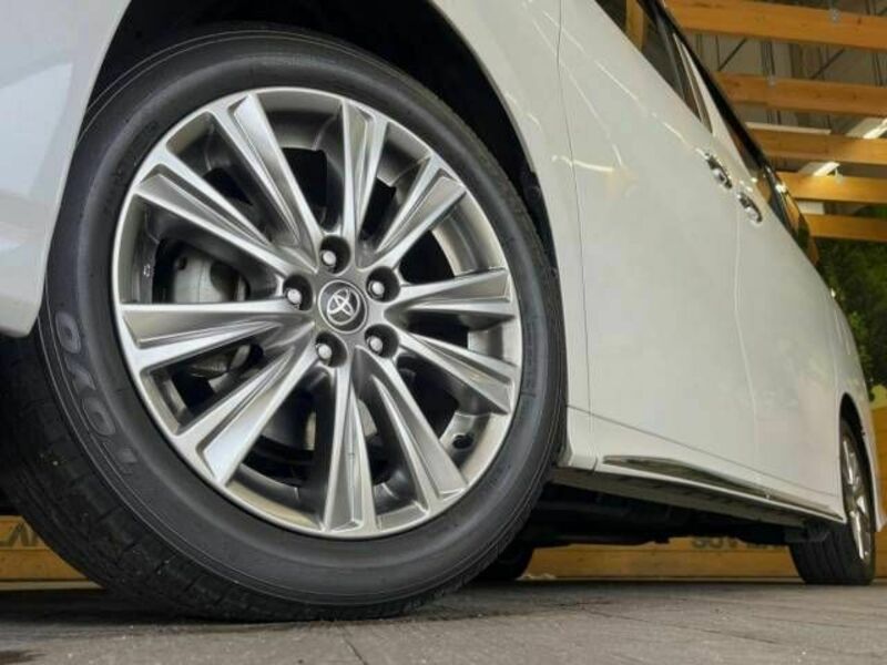 ALPHARD-13