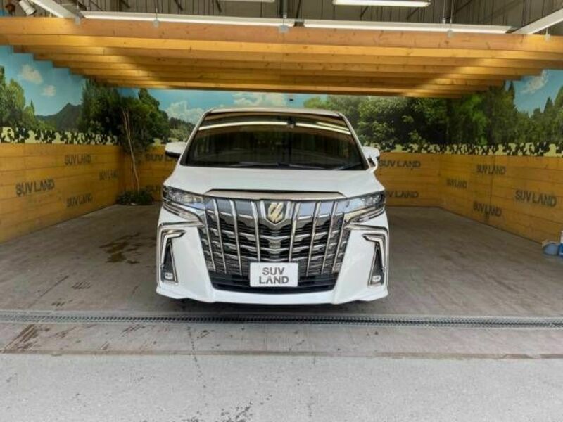 ALPHARD-14