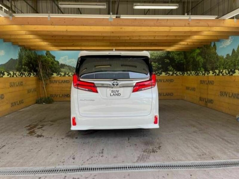 ALPHARD-15