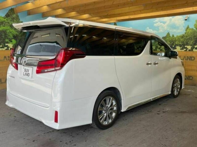 ALPHARD-17