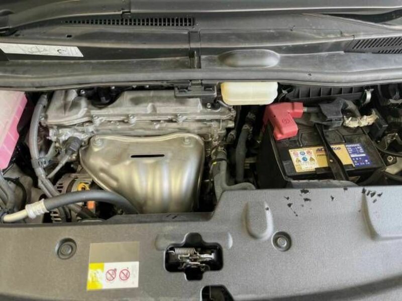 ALPHARD-18
