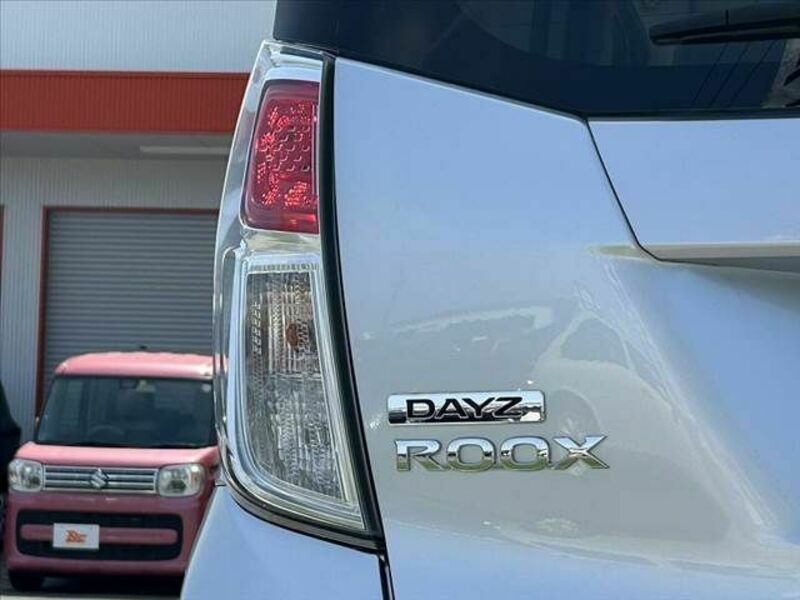 DAYZ ROOX-29