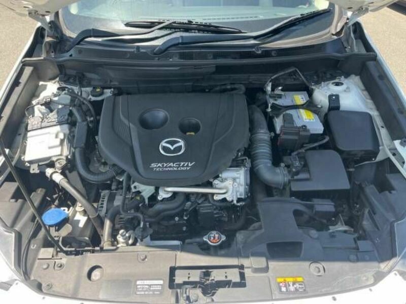 CX-3