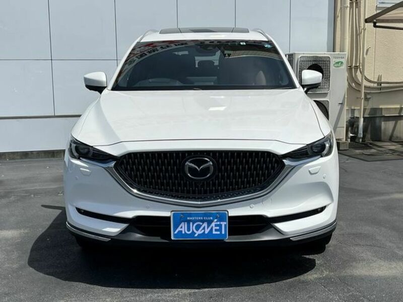 CX-8