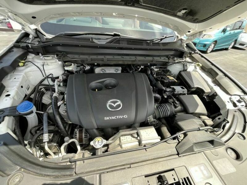 CX-8
