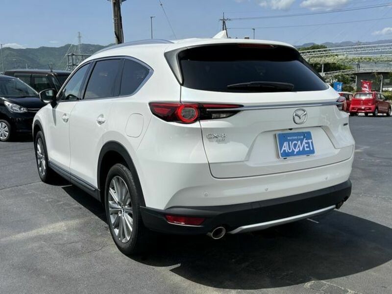 CX-8