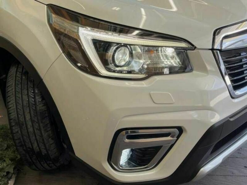 FORESTER-12