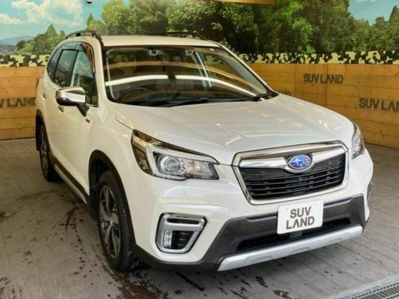 FORESTER-16