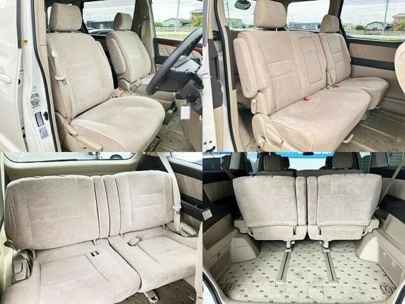 ALPHARD-8