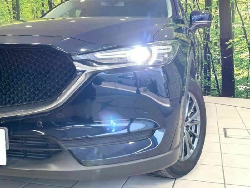 CX-5-11