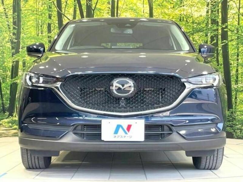 CX-5-13